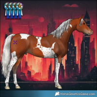 Horse Color:Silver Bay Tobiano