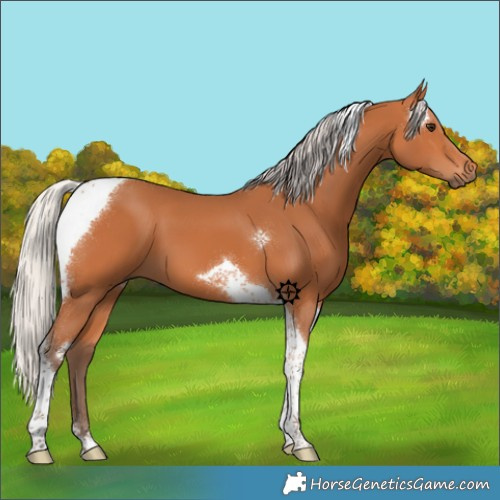 Horse Color:Silver Bay Tobiano