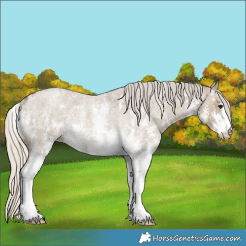 Horse Color:Silver Smoky Grullo Roan Sabino Rabicano