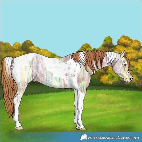 Horse Color:Chestnut Ice Tobiano