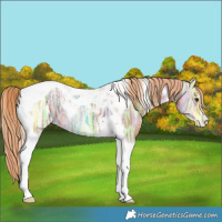 Horse Color:Chestnut Ice Tobiano 