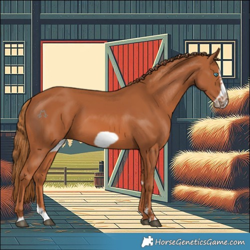 Horse Color:Chestnut Splash Frame 