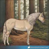 Horse Color:Chocolate Palomino Dun