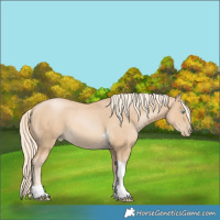 Horse Color:Palomino Pearl Tobiano 