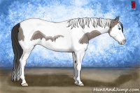 Horse Color:Grullo Splash Tobiano 
