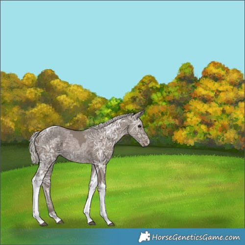 Horse Color:Silver Black Ice Tobiano 