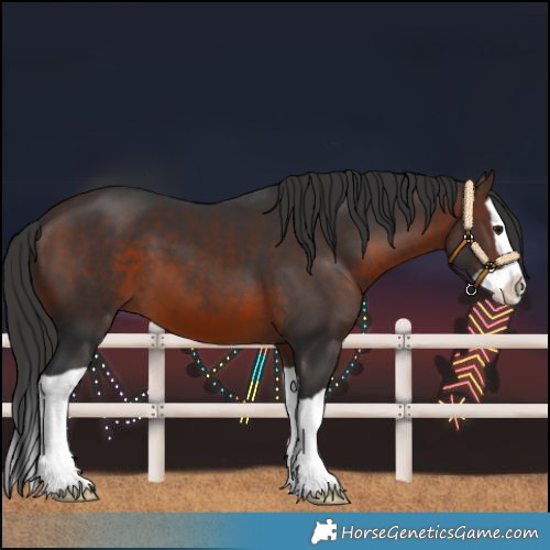 Horse Color:Brown Splash 