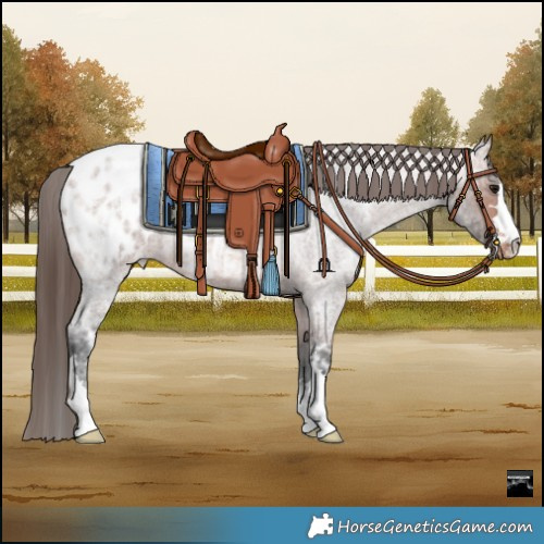 Horse Color:Bay Ice Roan Varnish 