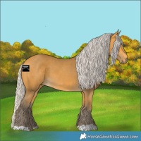 Horse Color:Silver Buckskin 