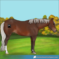 Horse Color:Silver Brown 