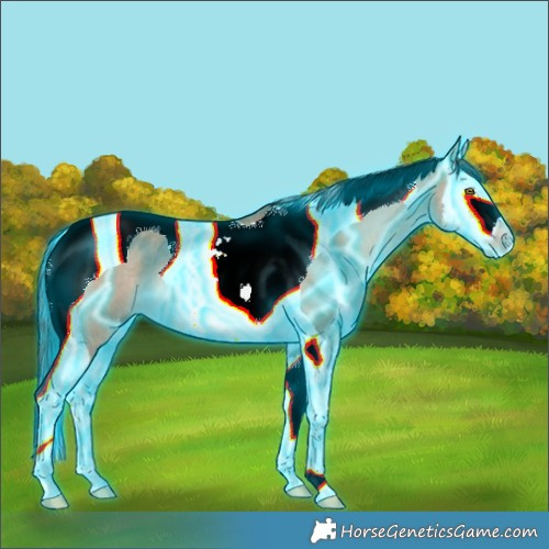 Horse Color:Thunderstruck Liver Red Dun Splash Tobiano 