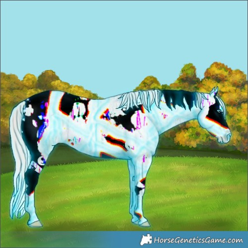 Horse Color:Thunderstruck Perlino Ice Roan Dun Splash Tobiano Blanket 