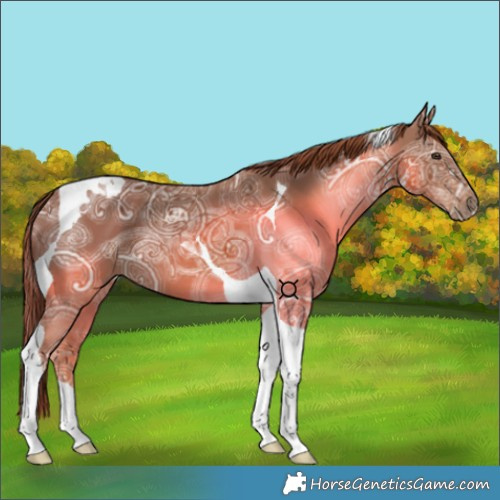 Horse Color:Chestnut Ice Tobiano