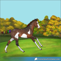 Horse Color:Painted Brown Splash Frame 