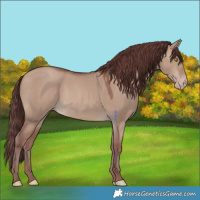 Horse Color:Chocolate Sable Champagne Dun