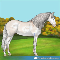 Horse Color:Silver Sable Champagne Dun Splash 