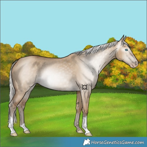 Horse Color:Gray Silver Smoky Creme Dun 