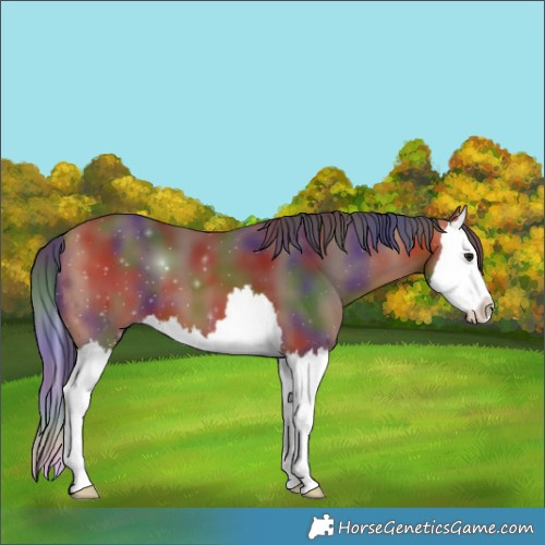 Horse Color:Nacre Bay Splash 