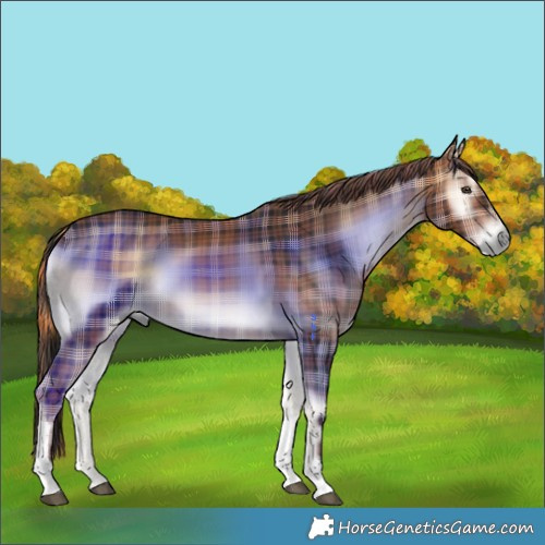 Horse Color:Plaid  Liver Red Onyx Tobiano 