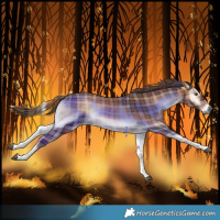 Horse Color:Plaid  Liver Red Onyx Tobiano 