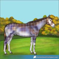 Horse Color:Plaid Liver Red Onyx Tobiano
