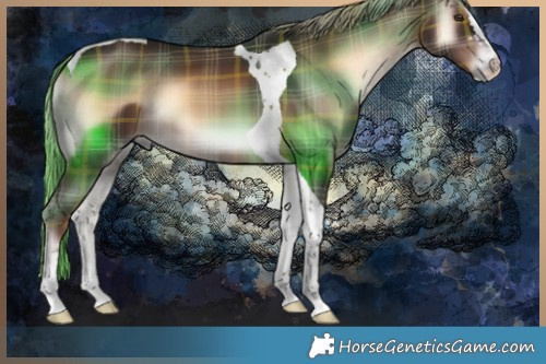 Horse Color:Plaid Liver Red Onyx Tobiano