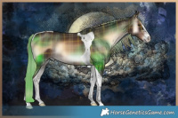 Horse Color:Plaid  Liver Red Onyx Tobiano 
