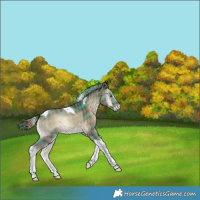 Horse Color:Plaid Red Onyx Tobiano