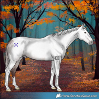 Horse Color:Gray Chocolate Bay Tobiano 