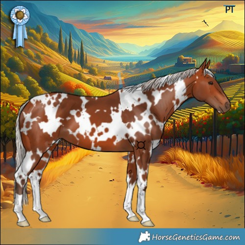 Horse Color:White Spotted Silver Bay
