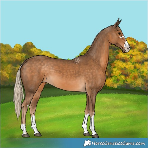 Horse Color:Chocolate Palomino 