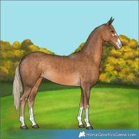 Horse Color:Chocolate Palomino