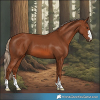 Horse Color:Chestnut 