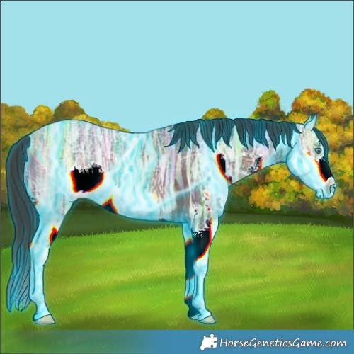 Horse Color:Thunderstruck Brown Ice Splash Frame 
