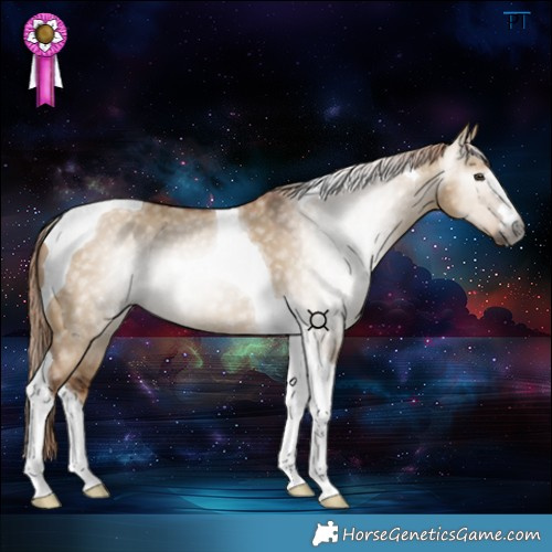 Horse Color:Gray Red Dun Tobiano 