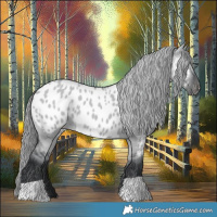 Horse Color:Grullo Chinchilla Appaloosa