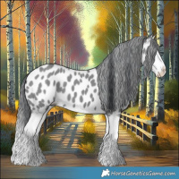 Horse Color:Classic Champagne Chinchilla Splash Appaloosa 