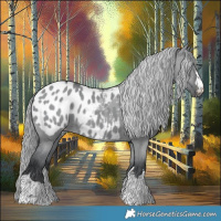 Horse Color:Grullo Chinchilla Appaloosa 