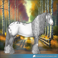 Horse Color:Classic Champagne Chinchilla Frame Appaloosa 