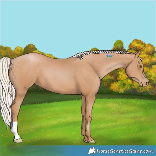 Horse Color:Silver Black Pearl