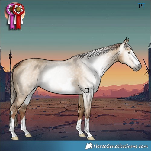Horse Color:Gray Red Dun 