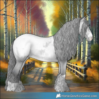 Horse Color:Amber Champagne Chinchilla Appaloosa 
