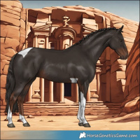 Horse Color:Liver Chestnut Tobiano Rabicano