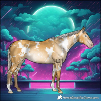 Horse Color:Gray White Spotted Silver Amber Cream Champagne Dun