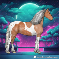 Horse Color:Silver Bay Tobiano