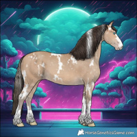 Horse Color:White Spotted Amber Champagne 