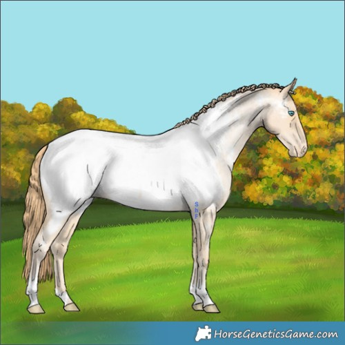 Horse Color:Buckskin Roan Pearl Near Fewspot 