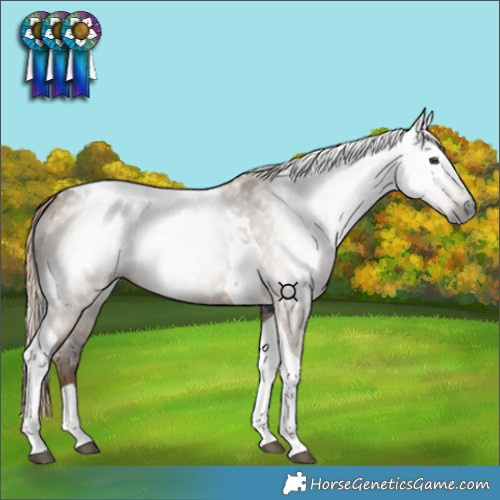 Horse Color:Gray Liver Red Dun Tobiano 