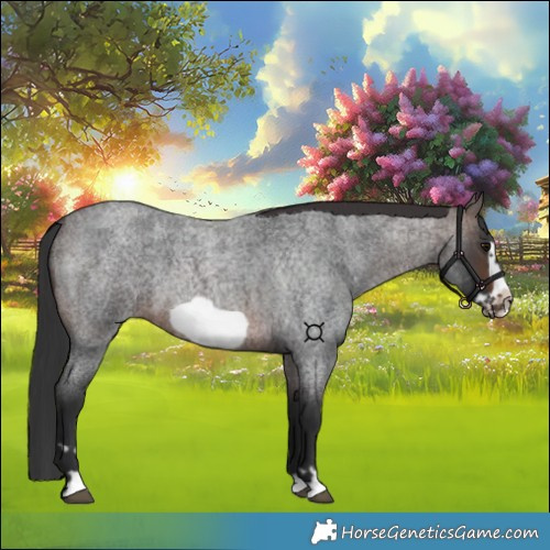 Horse Color:Brown Roan Frame 