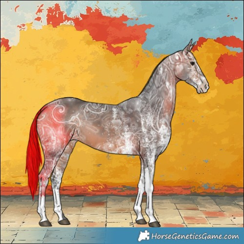 Horse Color:White Spotted Bay Ice 